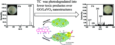 Graphical abstract: Graphene oxide-modified LaVO4 nanocomposites with enhanced photocatalytic degradation efficiency of antibiotics