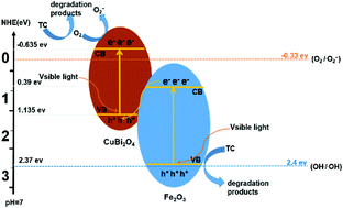 Graphical abstract: Design of visible-light-response core–shell Fe2O3/CuBi2O4 heterojunctions with enhanced photocatalytic activity towards the degradation of tetracycline: Z-scheme photocatalytic mechanism insight