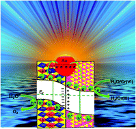 Graphical abstract: Fabrication of a Au-loaded CaFe2O4/CoAl LDH p–n junction based architecture with stoichiometric H2 & O2 generation and Cr(vi) reduction under visible light