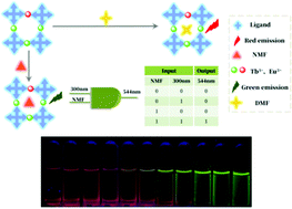 Graphical abstract: A self-calibrating bimetallic lanthanide metal–organic luminescent sensor integrated with logic gate operation for detecting N-methylformamide