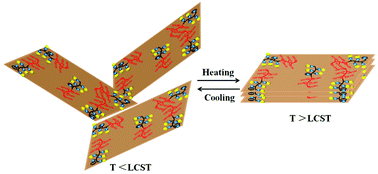 Graphical abstract: Synthesis of a novel graphene-based gold nanocomposite using PVEIM-b-PNIPAM as a stabilizer and its thermosensitivity for the catalytic reduction of 4-nitrophenol