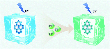 Graphical abstract: Two metal–organic zeolites for highly sensitive and selective sensing of Tb3+