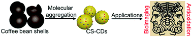 Graphical abstract: Seeking value from biomass materials: preparation of coffee bean shell-derived fluorescent carbon dots via molecular aggregation for antioxidation and bioimaging applications