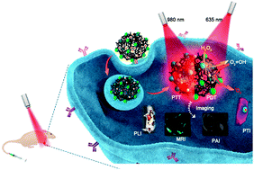 Graphical abstract: Peroxidase-like Fe3O4 nanocomposite for activatable reactive oxygen species generation and cancer theranostics