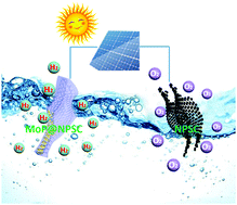 Graphical abstract: Ultrafine molybdenum phosphide nanocrystals on a highly porous N,P-codoped carbon matrix as an efficient catalyst for the hydrogen evolution reaction