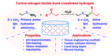 Graphical abstract: Hydrogels based on pH-responsive reversible carbon–nitrogen double-bond linkages for biomedical applications