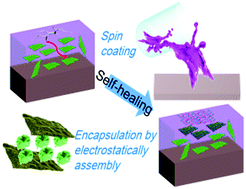 Graphical abstract: Facile synthesis of intelligent nanocomposites as encapsulation for materials protection