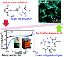 Graphical abstract: Rational design and facile preparation of maleimide-based functional materials for imaging and optoelectronic applications