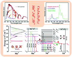 Graphical abstract: Ca3La2Te2O12:Mn4+,Nd3+,Yb3+: an efficient thermally-stable UV/visible–far red/NIR broadband spectral converter for c-Si solar cells and plant-growth LEDs
