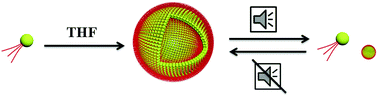 Graphical abstract: Self-assembly of positively charged polymer patchy micelles in organic solutions and the reversible ultrasound responsivity of the assemblies