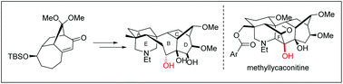 Graphical abstract: Total synthesis of C19-diterpenoid alkaloid: construction of a functionalized ABCDE-ring system