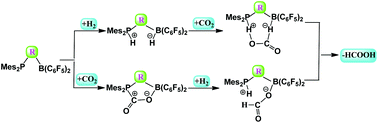 Graphical abstract: Theoretical studies on bridged frustrated Lewis pair (FLP) mediated H2 activation and CO2 hydrogenation