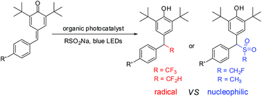 Graphical abstract: Redox-neutral tri-/difluoromethylation of para-quinone methides with sodium sulfinates