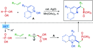 Graphical abstract: One-pot bifunctionalization of unactivated alkenes, P(O)–H compounds, and N-methoxypyridinium salts for the construction of β-pyridyl alkylphosphonates