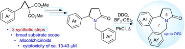 Graphical abstract: Convenient approach to polyoxygenated dibenzo[c,e]pyrrolo[1,2-a]azepines from donor–acceptor cyclopropanes