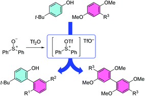 Graphical abstract: A metal-free biaryl coupling reaction activated by a sulfonium salt