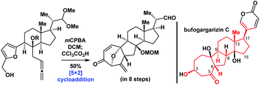 Graphical abstract: Asymmetric synthesis of the tetracyclic core of bufogargarizin C by an intramolecular [5 + 2] cycloaddition