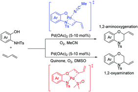 Graphical abstract: Mechanistic study of the solvent-controlled Pd(ii)-catalyzed chemoselective intermolecular 1,2-aminooxygenation and 1,2-oxyamination of conjugated dienes
