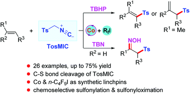 Graphical abstract: Oxidant-directed chemoselective sulfonylation and sulfonyloximation of alkenes via cleaving the C–S bond in TosMIC
