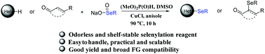 Graphical abstract: Copper-catalyzed direct and odorless selenylation with a sodium selenite-based reagent