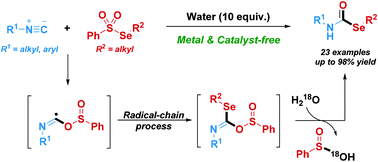 Graphical abstract: A radical-chain reaction of isocyanides with selenosulfonates and water: facile synthesis of selenocarbamates under metal-free conditions