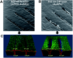 Graphical abstract: Nanomaterials and continuous wave laser-based efficient desorption for atmospheric pressure mass spectrometric imaging of live hippocampal tissue slices