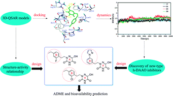 Graphical abstract: Molecular modeling studies of 1,2,4-triazine derivatives as novel h-DAAO inhibitors by 3D-QSAR, docking and dynamics simulations