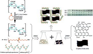 Graphical abstract: Homogeneous grafting of cellulose with polycaprolactone using quaternary ammonium salt systems and its application for ultraviolet-shielding composite films