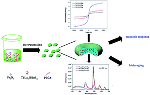 Graphical abstract: Study on the formation and properties of red blood cell-like Fe3O4/TbLa3(Bim)12/PLGA composite particles