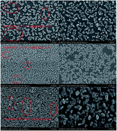 Graphical abstract: Application of novel nanocomposite-modified electrodes for identifying rice wines of different brands