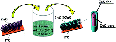 Graphical abstract: The structural and the photoelectrochemical properties of ZnO–ZnS/ITO 1D hetero-junctions prepared by tandem electrodeposition and surface sulfidation: on the material processing limits