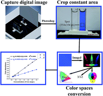 Graphical abstract: The Yxy colour space parameters as novel signalling tools for digital imaging sensors in the analytical laboratory