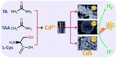 Graphical abstract: Optimizing the precursor of sulfur source for hydrothermal synthesis of high performance CdS for photocatalytic hydrogen production