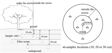 Graphical abstract: A novel and actual mode for study of soil degradation and transportation of difenoconazole in a mango field