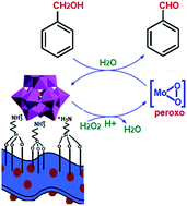 Graphical abstract: 12-Molybdophosphoric acid anchored on aminopropylsilanized magnetic graphene oxide nanosheets (Fe3O4/GrOSi(CH2)3–NH2/H3PMo12O40): a novel magnetically recoverable solid catalyst for H2O2-mediated oxidation of benzylic alcohols under solvent-free conditions