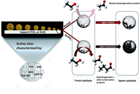 Graphical abstract: Difference in the deactivation of Au catalysts during ethanol transformation when supported on ZnO and on TiO2