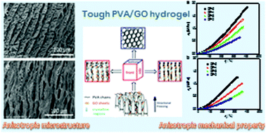 Graphical abstract: Anisotropic tough poly(vinyl alcohol)/graphene oxide nanocomposite hydrogels for potential biomedical applications