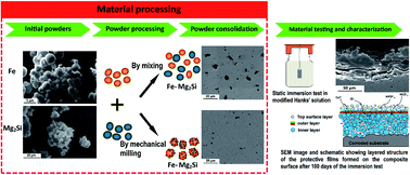 Graphical abstract: Long-term in vitro degradation behaviour of Fe and Fe/Mg2Si composites for biodegradable implant applications