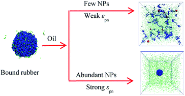 Graphical abstract: Formation mechanism of bound rubber in elastomer nanocomposites: a molecular dynamics simulation study
