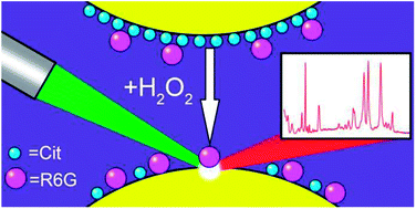 Graphical abstract: Amplification of surface-enhanced Raman scattering by the oxidation of capping agents on gold nanoparticles