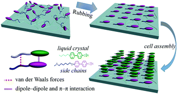 Graphical abstract: Mesogen-co-polymerized transparent polyimide as a liquid-crystal alignment layer with enhanced anchoring energy