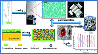 Graphical abstract: Highly porous and chemical resistive P(TFEMA–DVB) monolith with tunable morphology for rapid oil/water separation