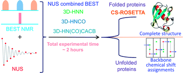 Graphical abstract: An efficient combination of BEST and NUS methods in multidimensional NMR spectroscopy for high throughput analysis of proteins