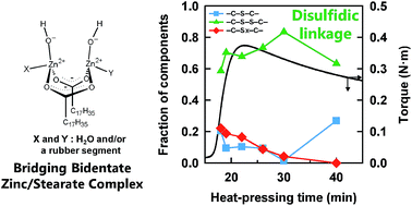 Graphical abstract: Dominant formation of disulfidic linkages in the sulfur cross-linking reaction of isoprene rubber by using zinc stearate as an activator