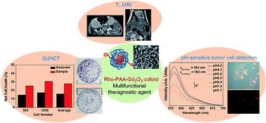 Graphical abstract: Magnetic resonance imaging, gadolinium neutron capture therapy, and tumor cell detection using ultrasmall Gd2O3 nanoparticles coated with polyacrylic acid-rhodamine B as a multifunctional tumor theragnostic agent