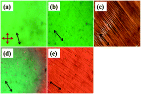 Graphical abstract: Impact of terminal polar substitution on elastic, electro-optic and dielectric properties of four-ring bent-core nematic liquid crystals