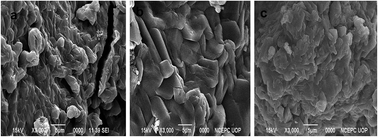 Graphical abstract: Uptake of heavy metal ions from aqueous media by hydrogels and their conversion to nanoparticles for generation of a catalyst system: two-fold application study