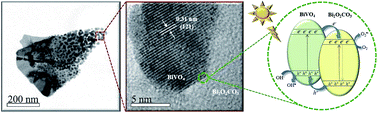 Graphical abstract: Insights into the photocatalytic performance of Bi2O2CO3/BiVO4 heterostructures prepared by one-step hydrothermal method