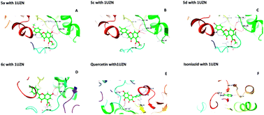 Graphical abstract: Molecular modeling studies and in vitro screening of dihydrorugosaflavonoid and its derivatives against Mycobacterium tuberculosis