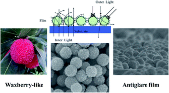 Graphical abstract: Bio-inspired self-assembly of waxberry-like core-shell SiO2@TiO2 nanoparticles towards antiglare coatings